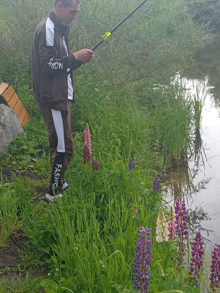 ���� 29277737 ������� ������, 38 ���, ���� ���������� � ������