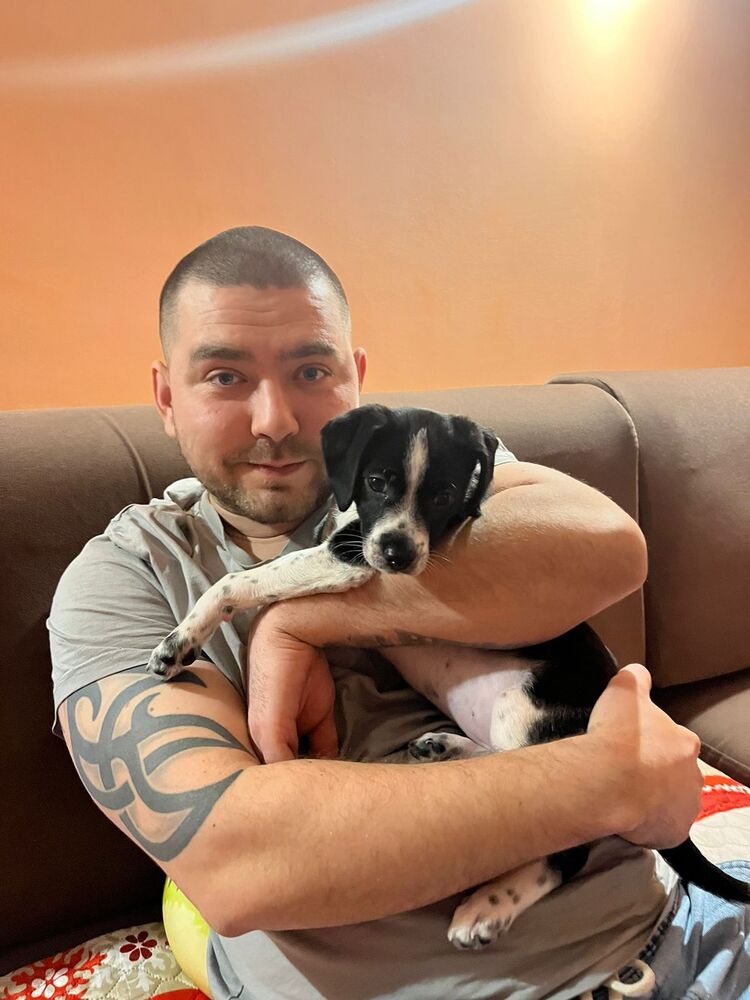 ���������� ������, ���� ������� �����, 33 ����, ������������ ��� ������, ����� � ���������