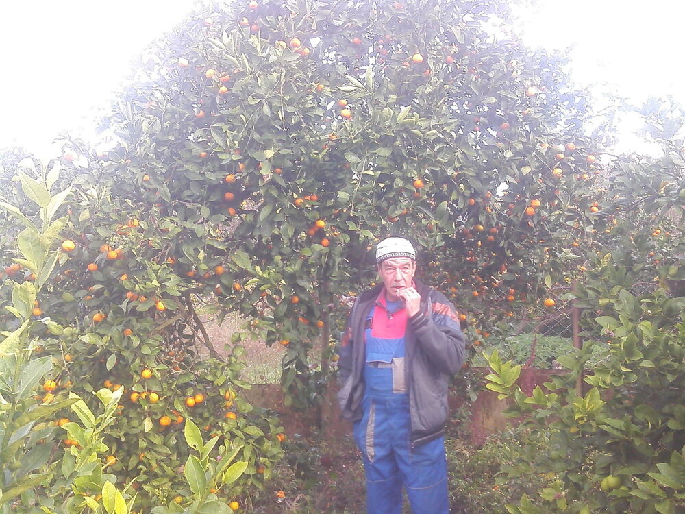  10743637  Vasij, 63 ,     