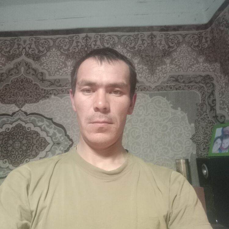  34251657  , 38 ,    