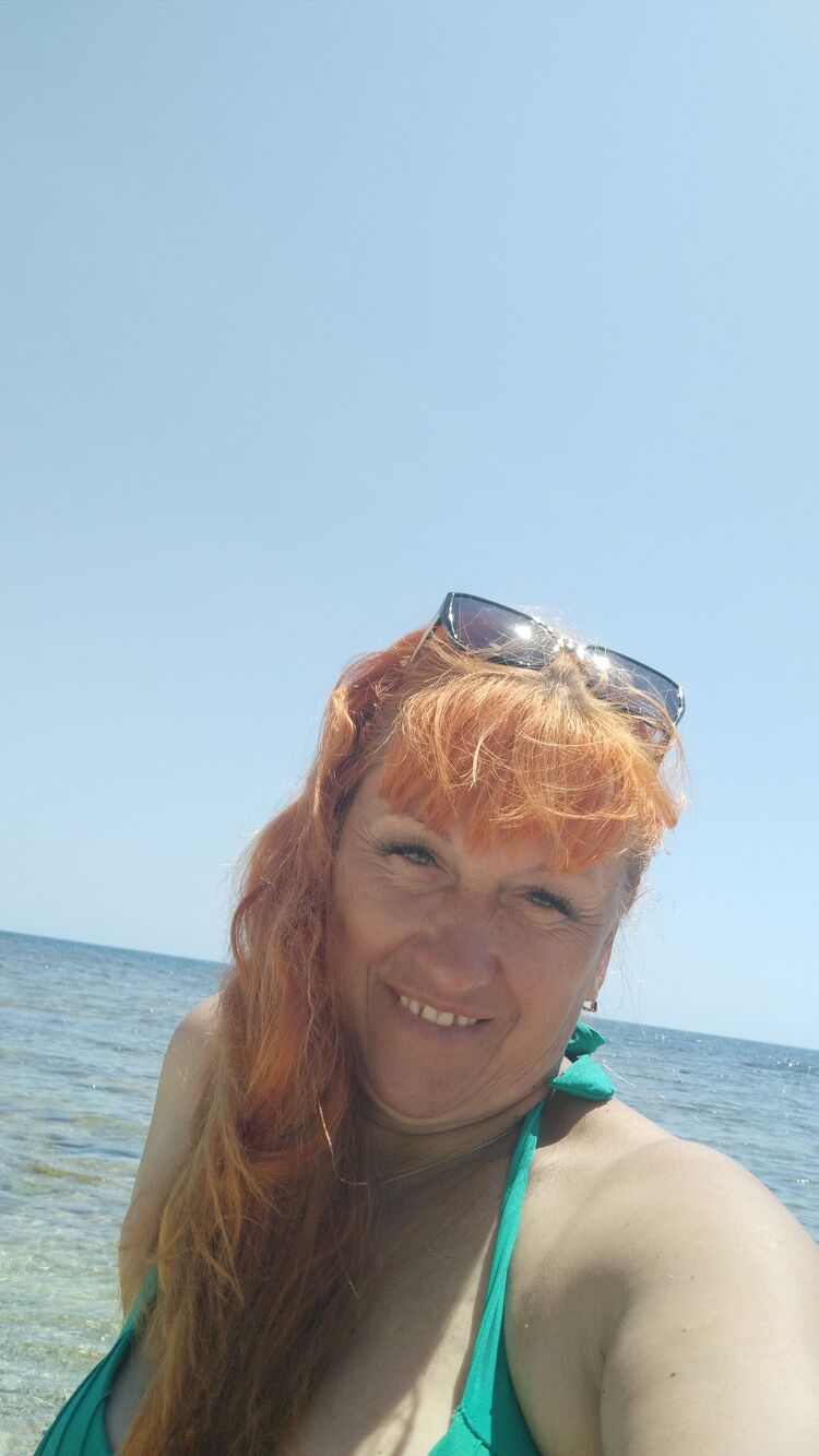  53749247  , 50 ,    -