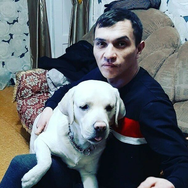 ���� 23326227 ������� �������� ���, 43 ����, ���� ���������� � ������