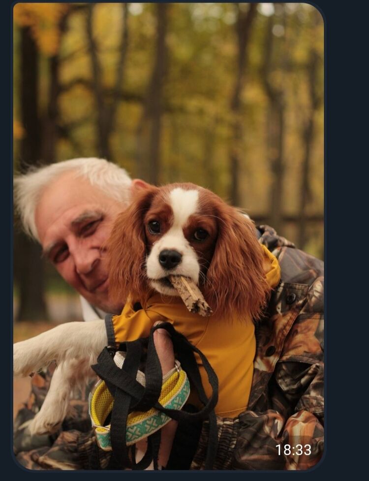 ���� 56100247 ������� Mihail, 57 ���, ���� ���������� � �������-��-����