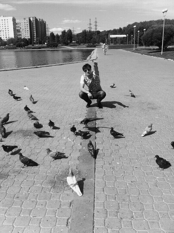 ���� 28001097 ������� �����, 33 ����, ���� ���������� � �����-����������