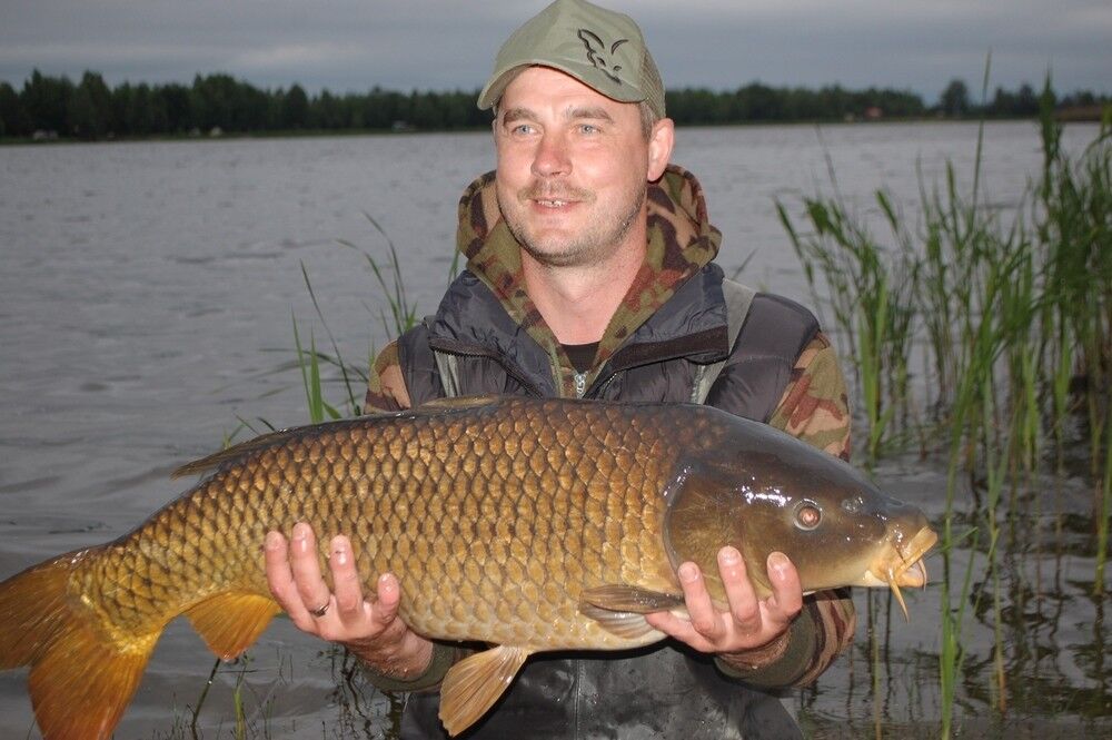 ���������� ������, ���� ������� �����, 51 ���, ������������ ��� ������, ����� � ���������, c�������� ���������