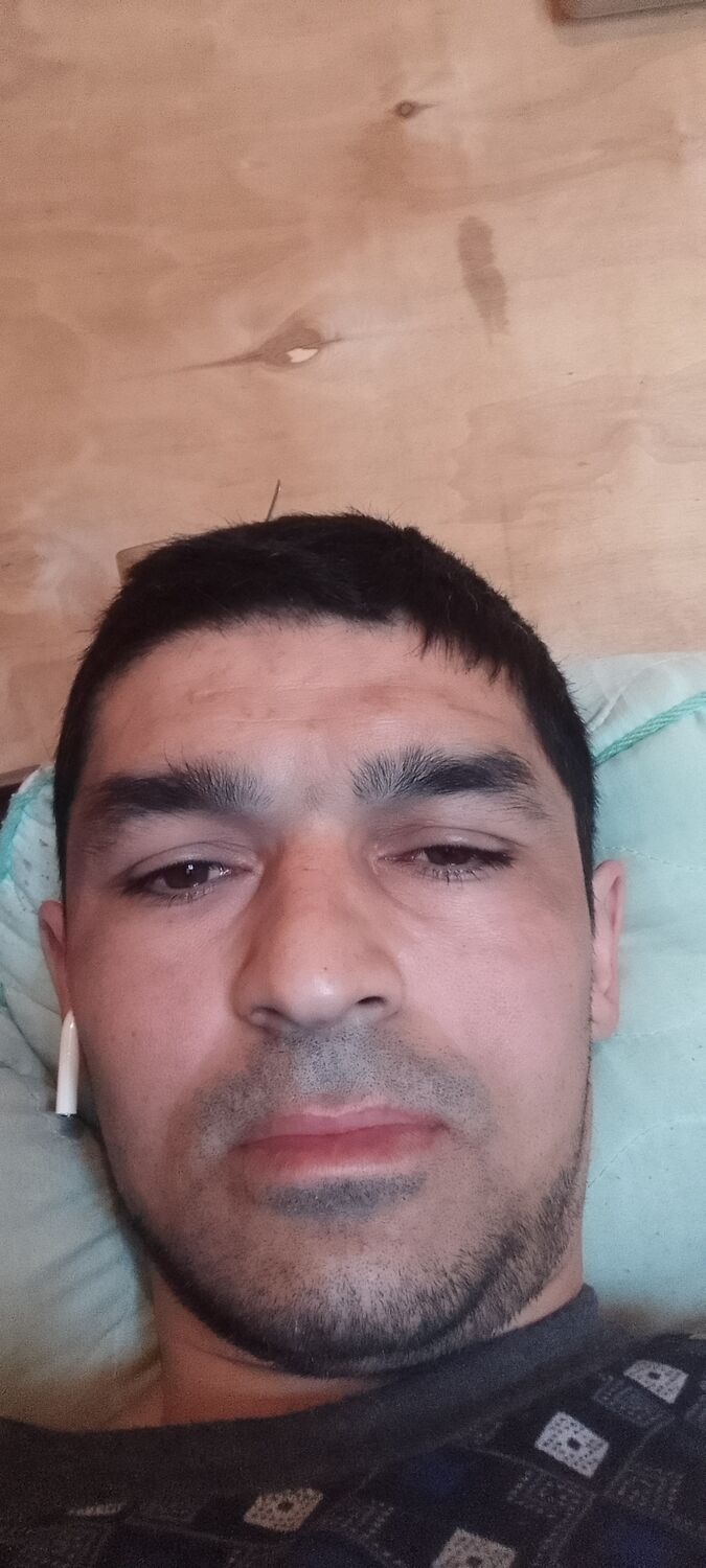  50668727  , 33 ,    