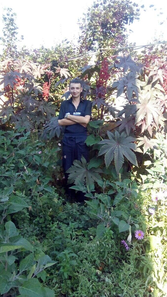 ���������� �������, ���� ������� ����, 42 ����, ������������ ��� c�������� ���������