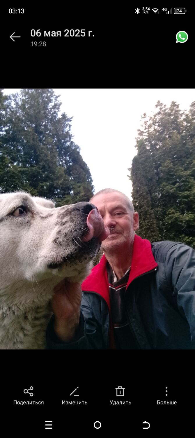 ���� 55894777 ������� ������, 54 ����, ���� ���������� � ������������