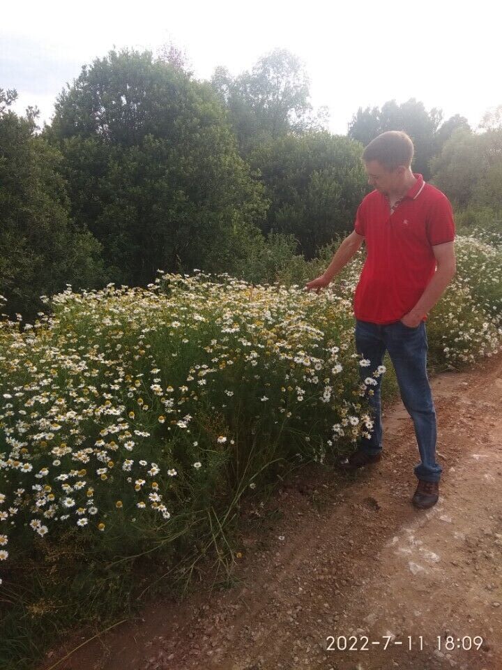 ���������� ������, ���� ������� �����, 40 ���, ������������ ��� ������, ����� � ���������