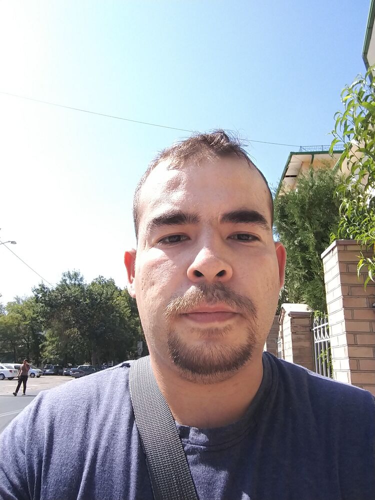  33964317  , 33 ,    