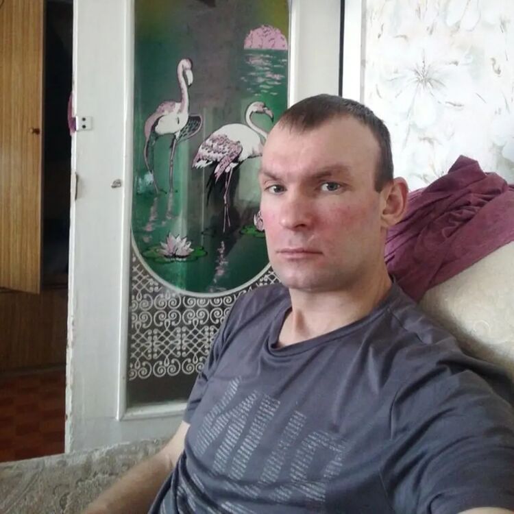  47553537  , 37 ,    