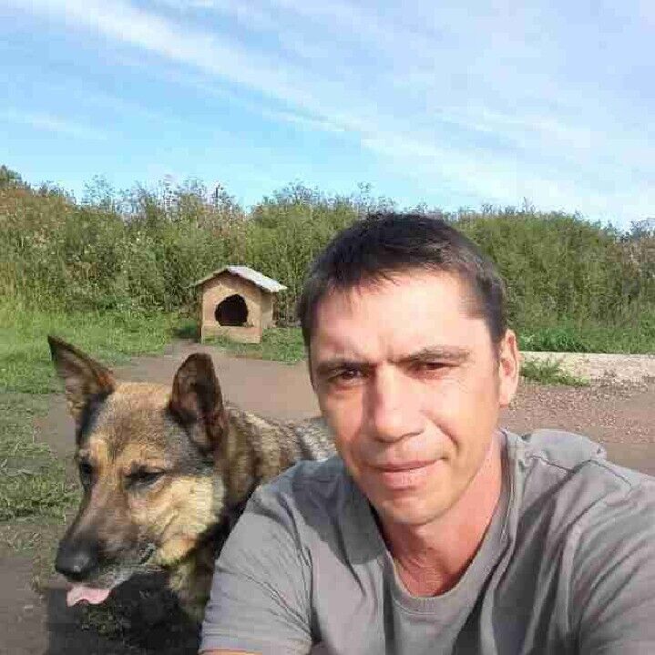 ���� 31715217 ������� �����, 48 ���, ���� ���������� � ���