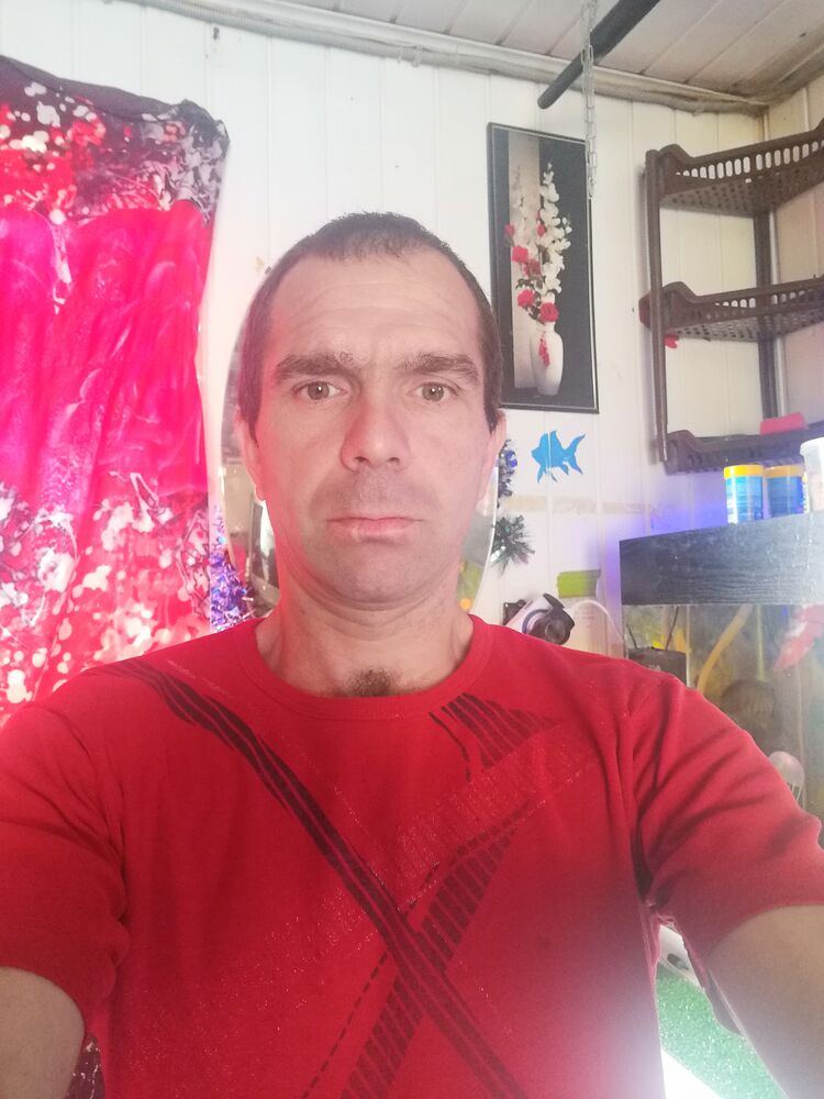  23732707  , 43 ,    