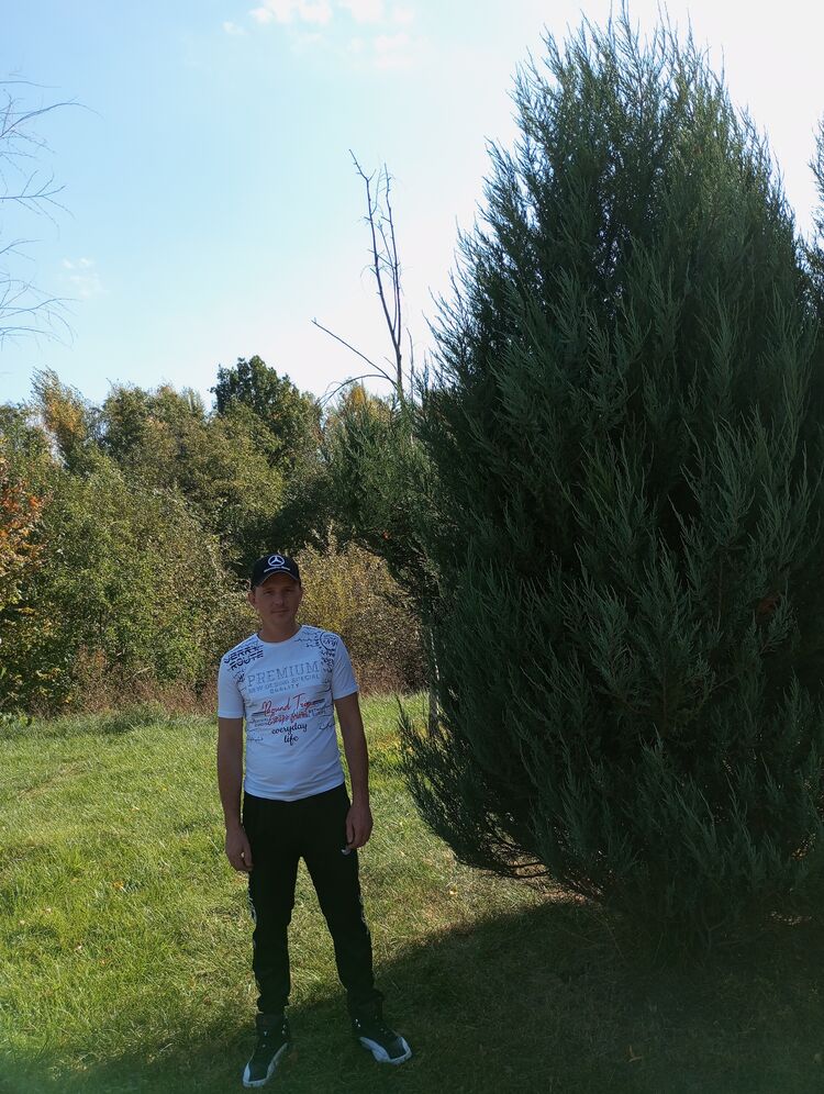 ���������� ������, ���� ������� ������, 38 ���, ������������ ��� ������, ����� � ���������