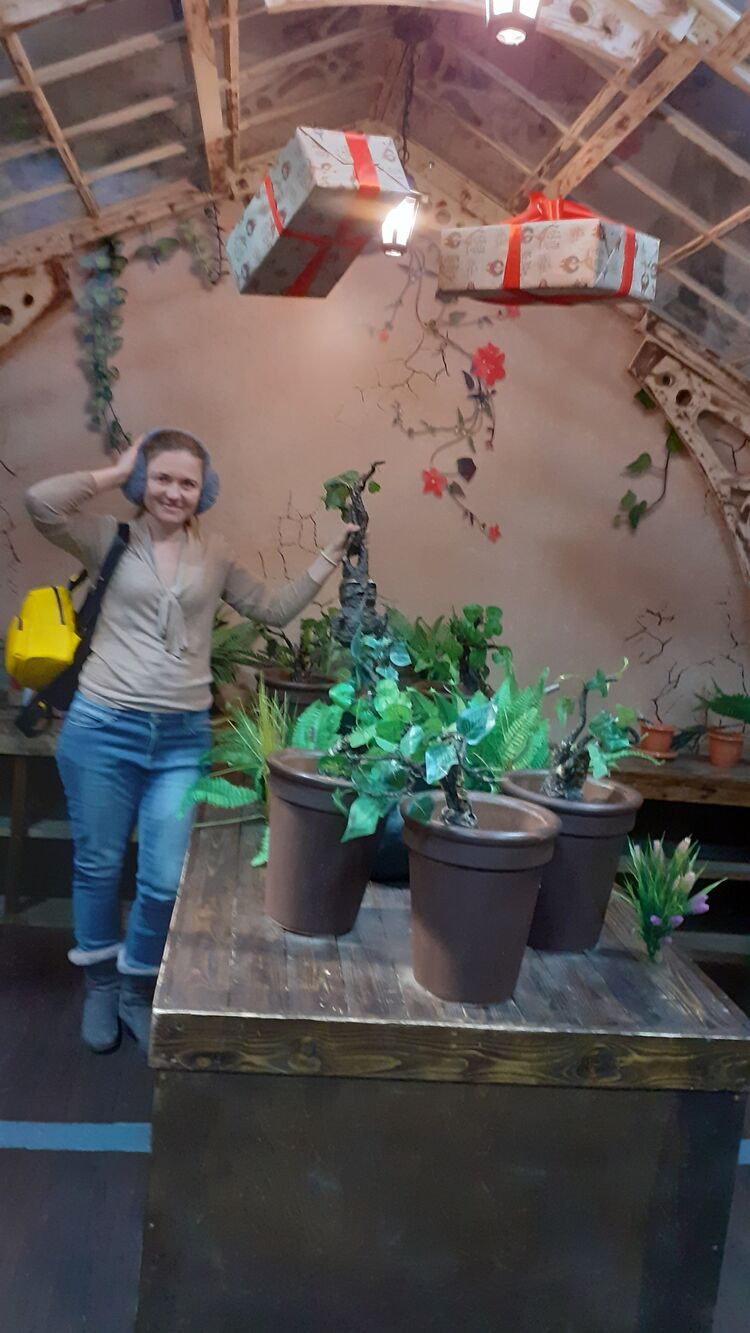 ���������� �����-���������, ���� ������� �����, 41 ���, ������������ ��� ����� � ���������, c�������� ���������