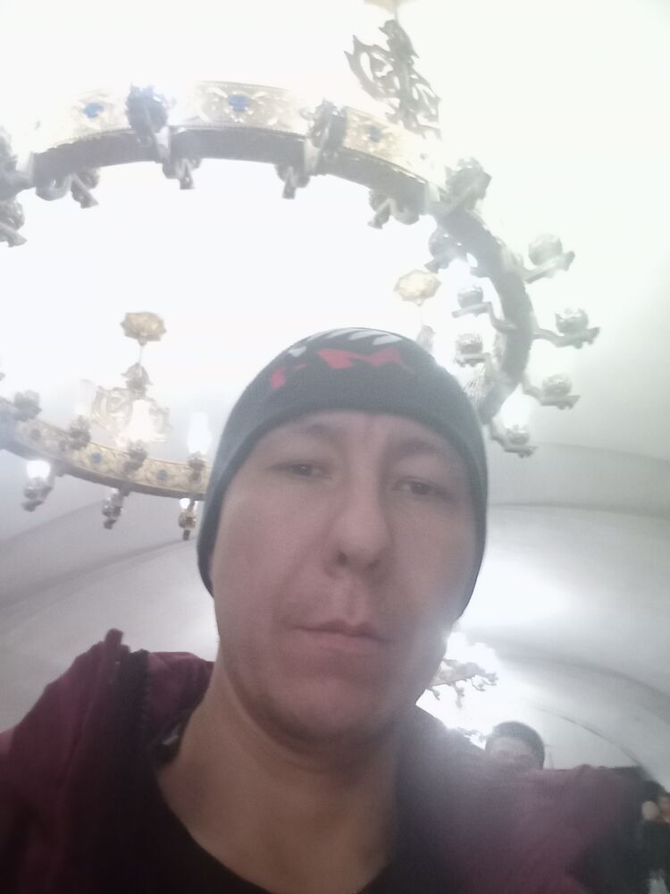 ���� 40849157 ������� ������, 38 ���, ���� ���������� � ��������