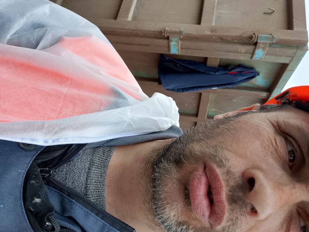  52855047  , 43 ,    