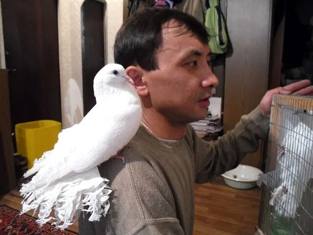  ,   , 46 ,   ,   