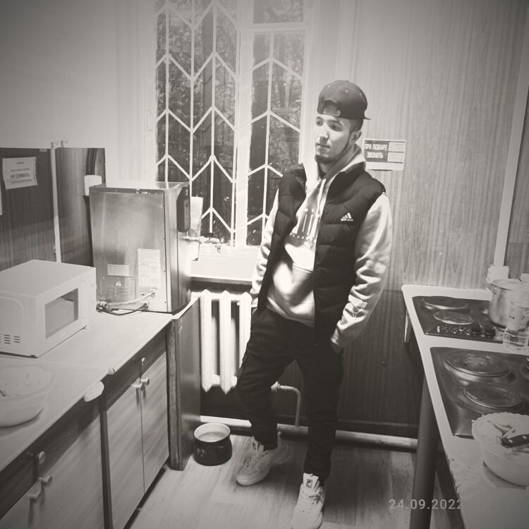  29438647  , 28 ,    -