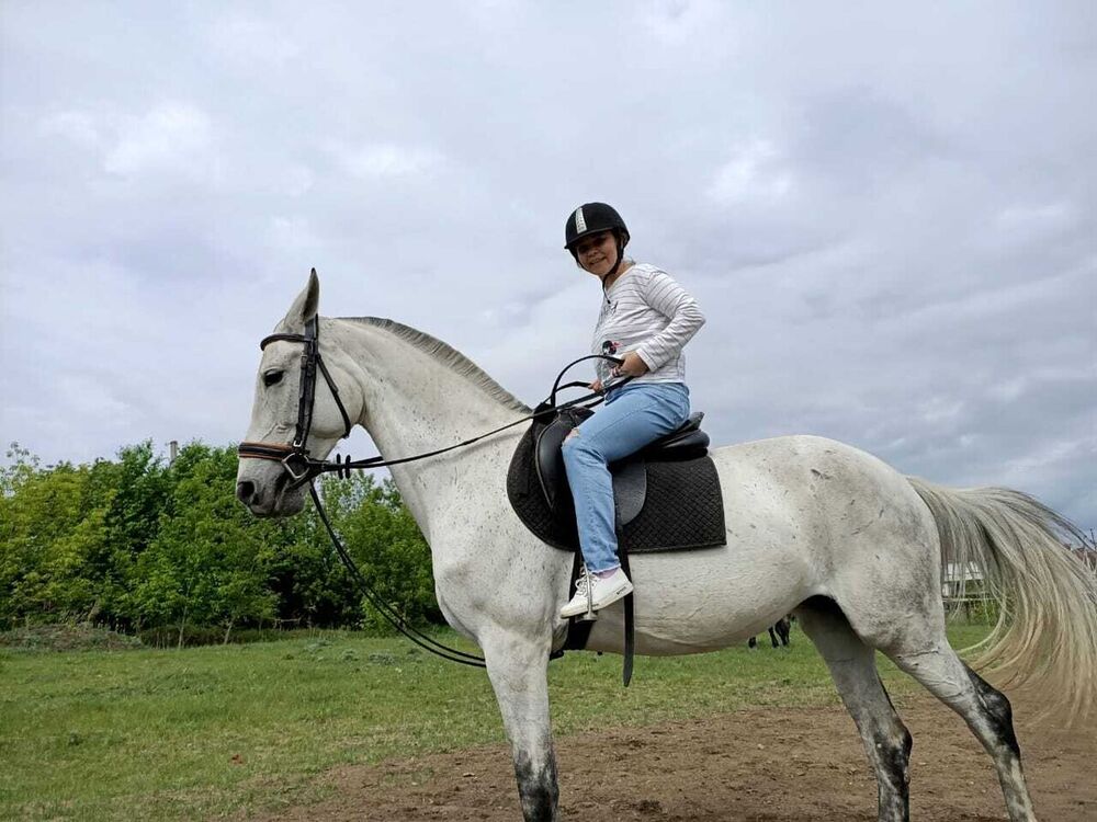 ���� 20206477 ������� �����, 41 ���, ���� ���������� � ����������