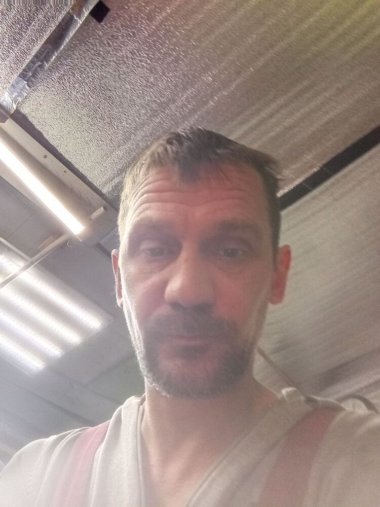  43286867  , 41 ,    