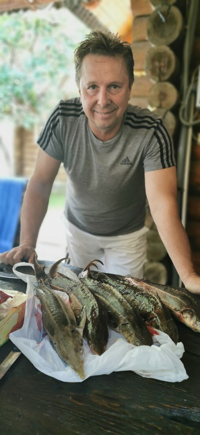 ���������� �����, ���� ������� �������, 61 ���, ������������ ��� ������, ����� � ���������