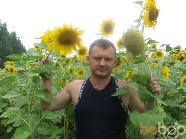 ���������� ������, ���� ������� ����, 46 ���, ������������ 