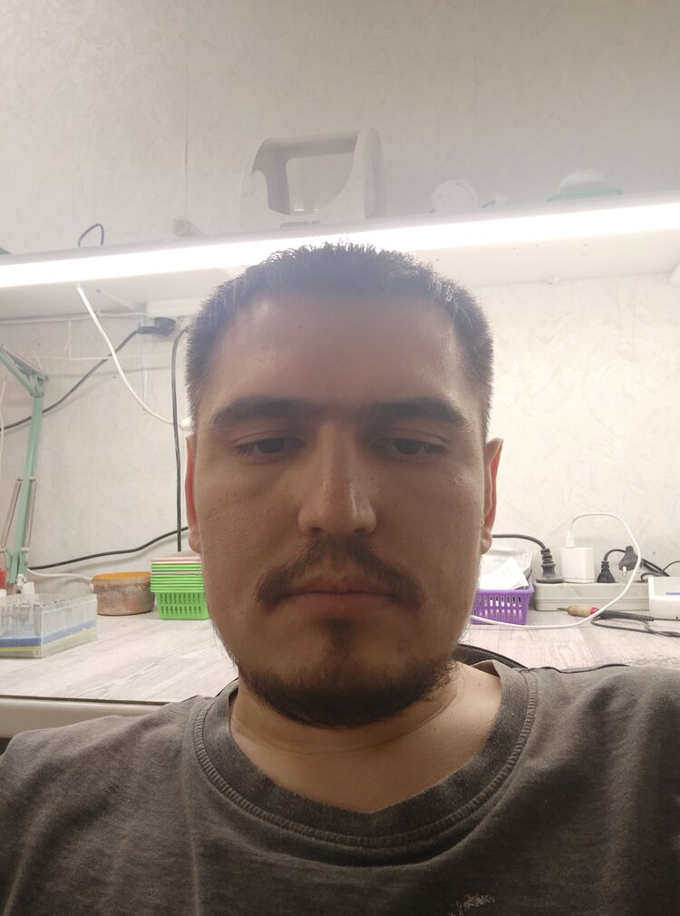  41731307  , 29 ,    