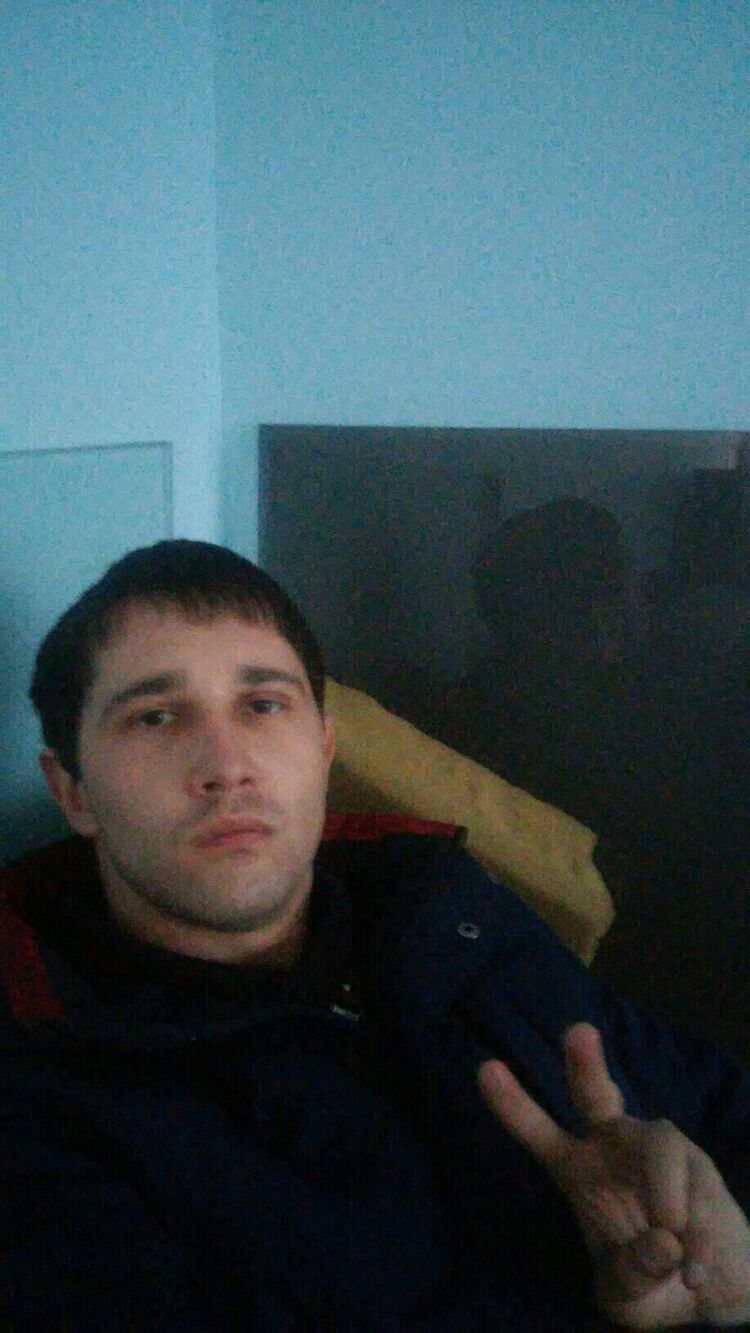  31068667  , 31 ,    