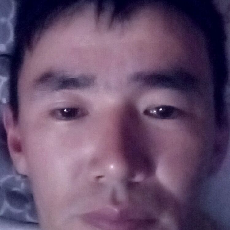  47542337  Omirbek, 38 ,    