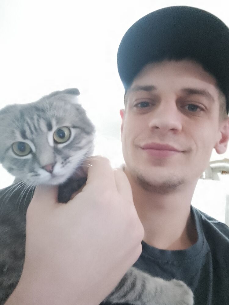  --,   , 29 ,   ,   