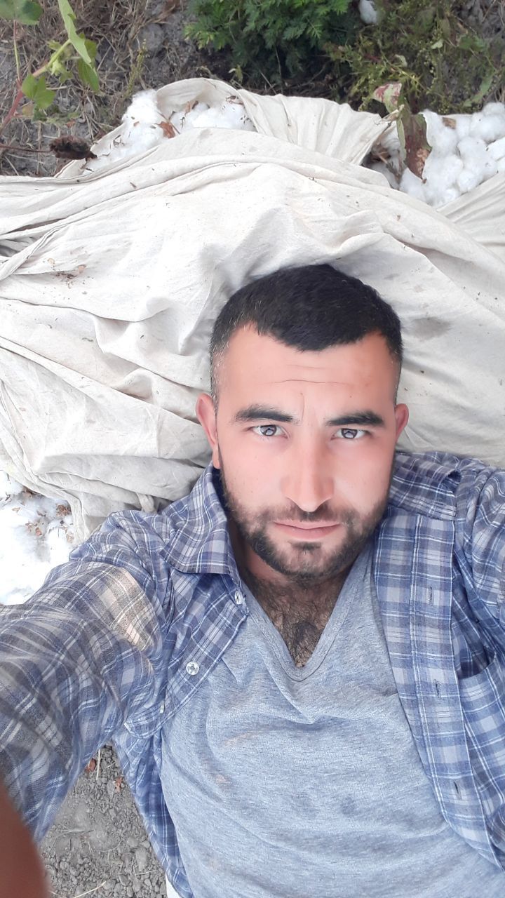 ���� 27898117 ������� �����, 33 ����, ���� ���������� � ��������