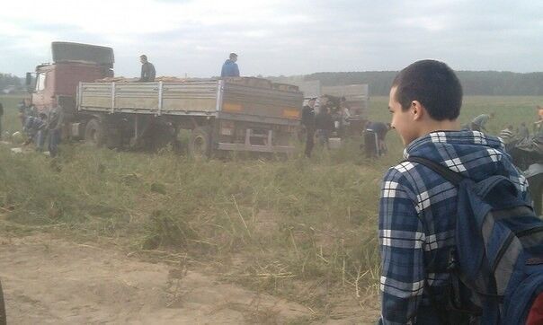 ���� 10463937 ������� �����, 28 ���, ���� ���������� � �������