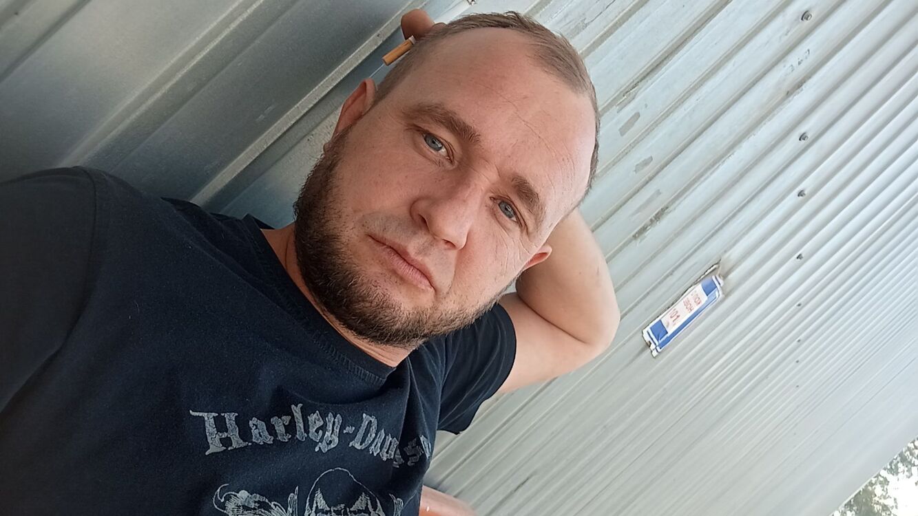  53493657  , 37 ,    
