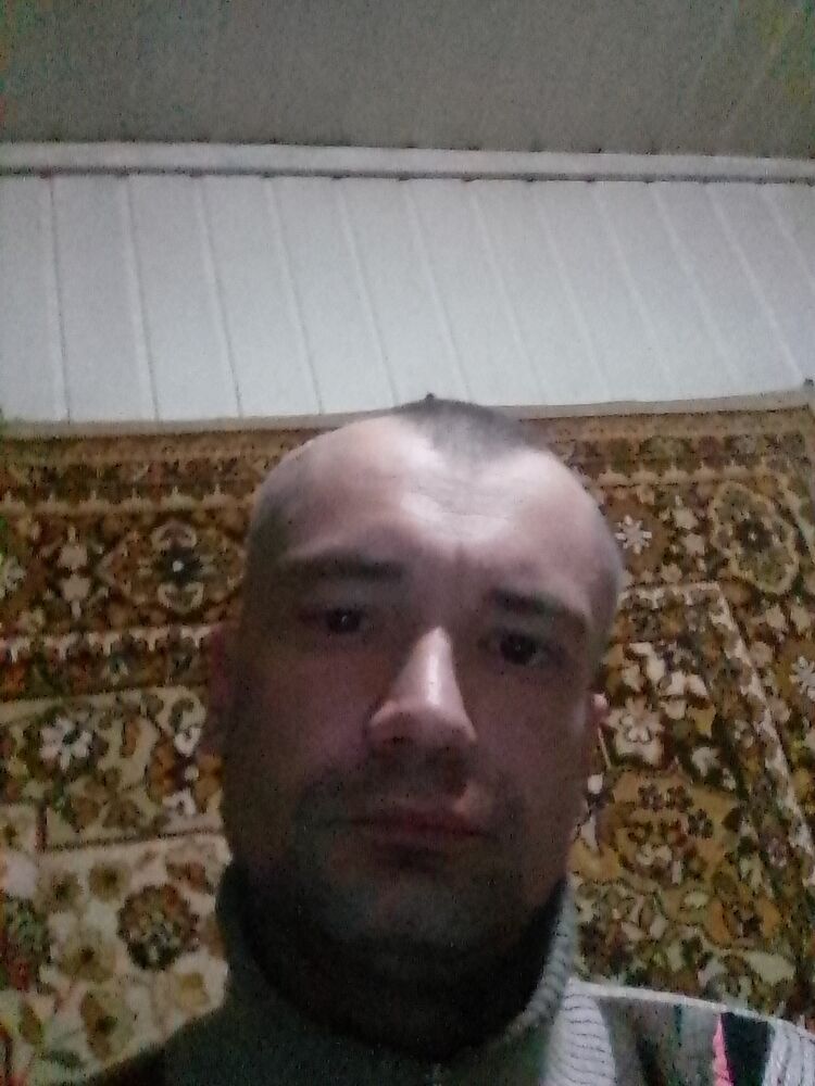  26646437  , 40 ,    