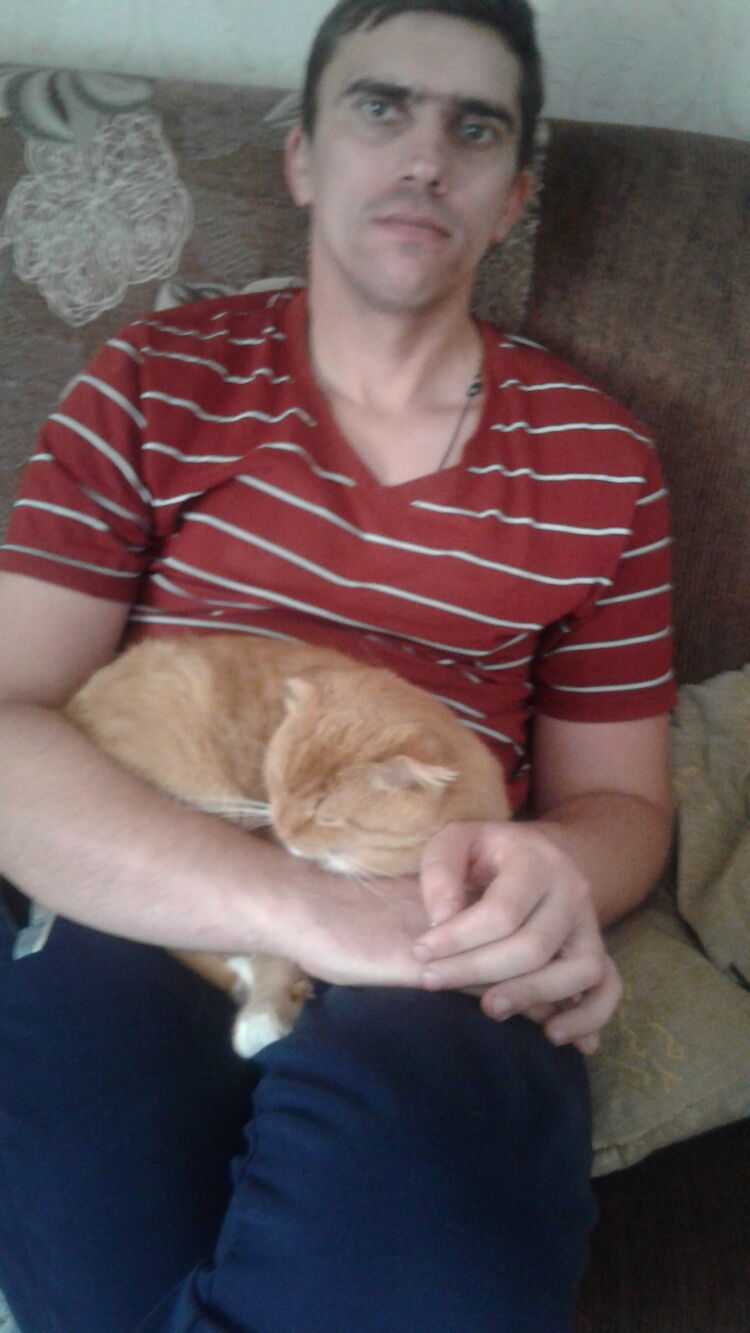 ���������� ���������, ���� ������� �������, 43 ����, ������������ 