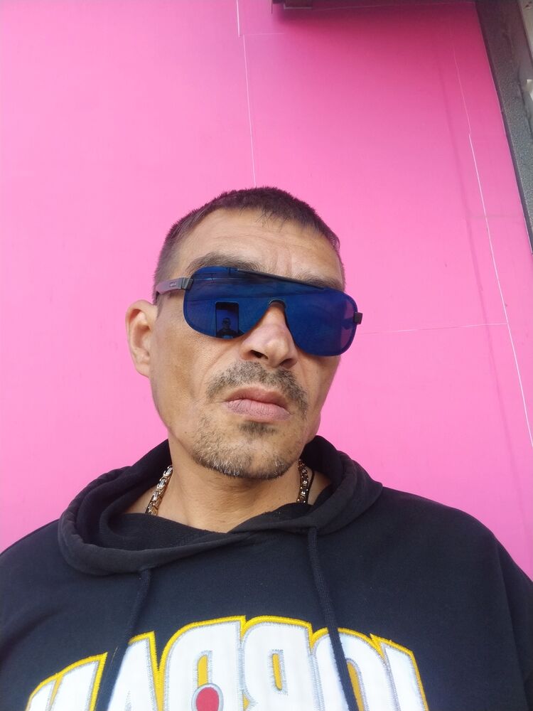  53313737  , 44 ,    