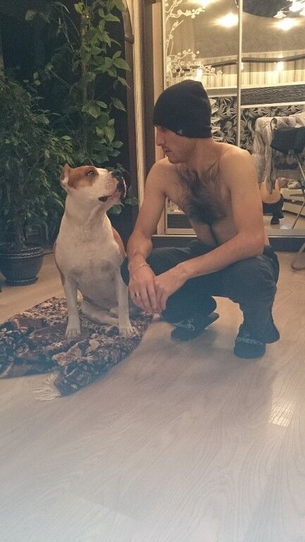 ���������� ���������, ���� ������� �����, 41 ���, ������������ ��� ������, ����� � ���������, c�������� ���������