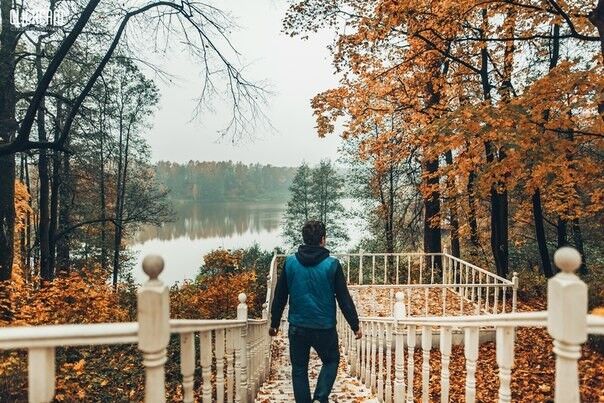 ���������� ������, ���� ������� �������, 37 ���, ������������ ��� ������, ����� � ���������, c�������� ���������