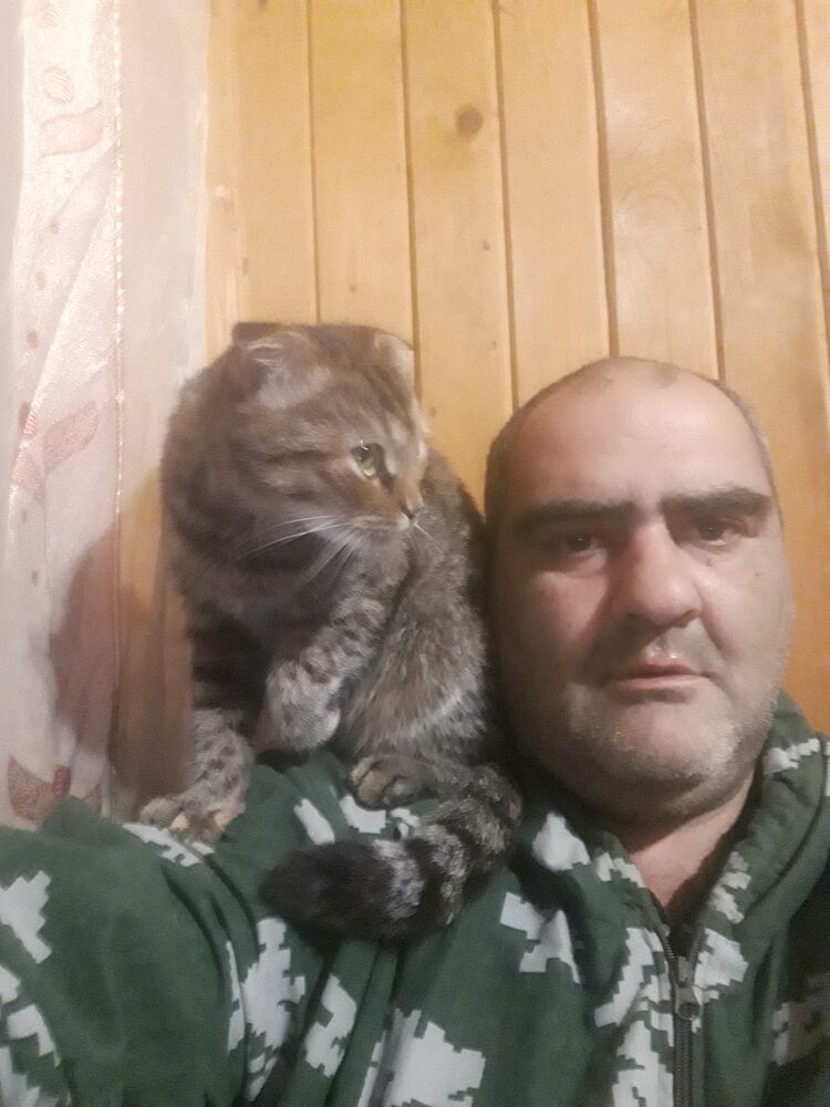 ���������� ������, ���� ������� �����, 48 ���, ������������ ��� ������, ����� � ���������, c�������� ���������