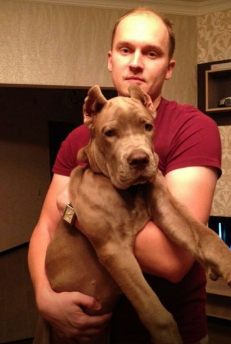 ���� 42631557 ������� Evgen, 39 ���, ���� ���������� � ������