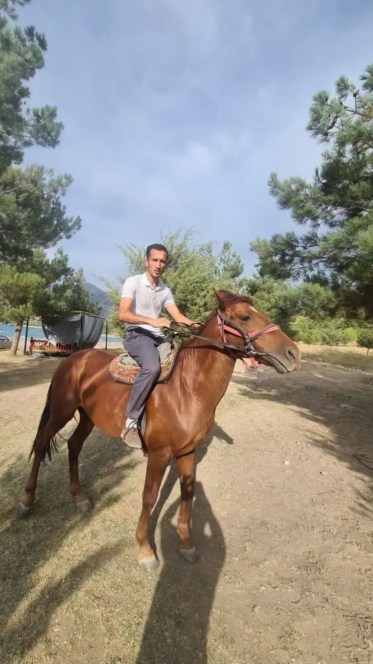 ���� 40008757 ������� �����, 28 ���, ���� ���������� � ������