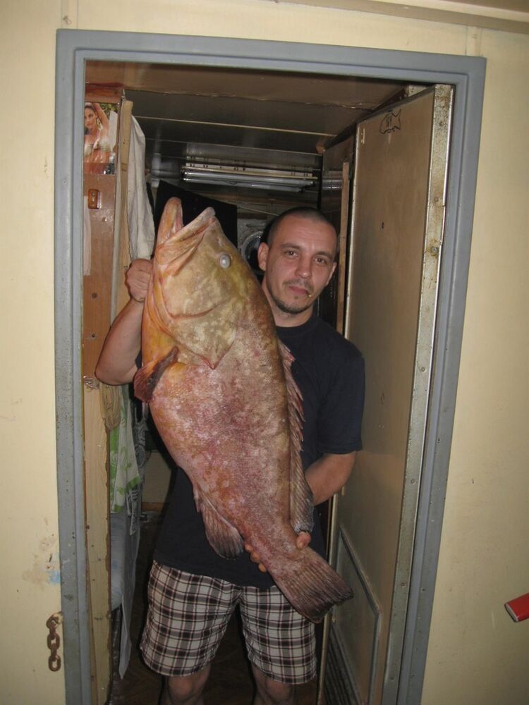  ,   Lion, 47 ,   ,   , c 