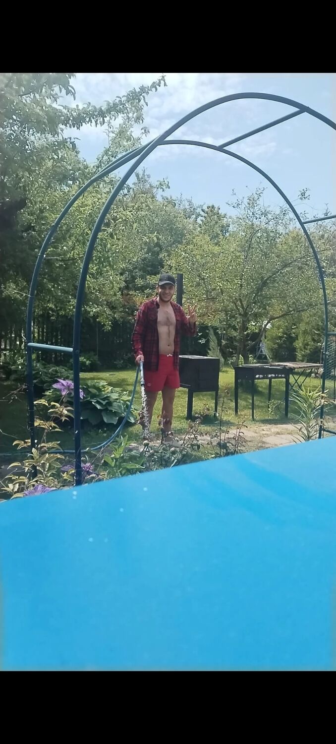  43416527  , 29 ,    