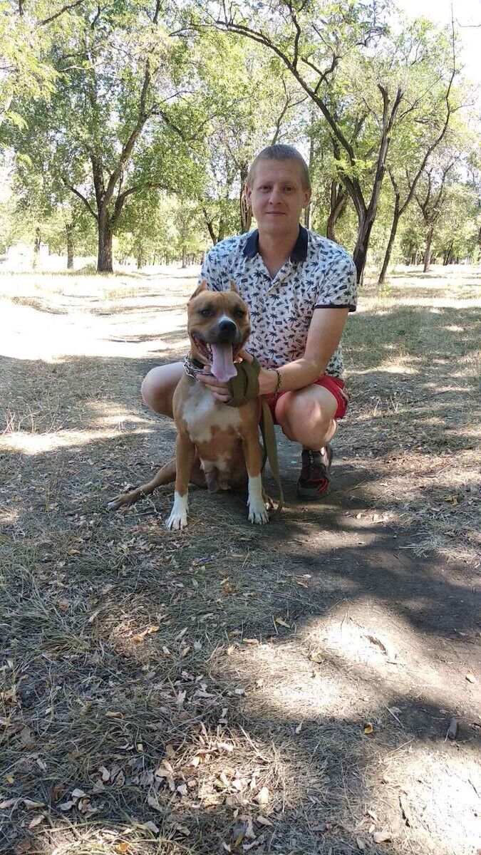 ���������� ������ ���, ���� ������� ������, 39 ���, ������������ ��� ������, ����� � ���������, c�������� ���������