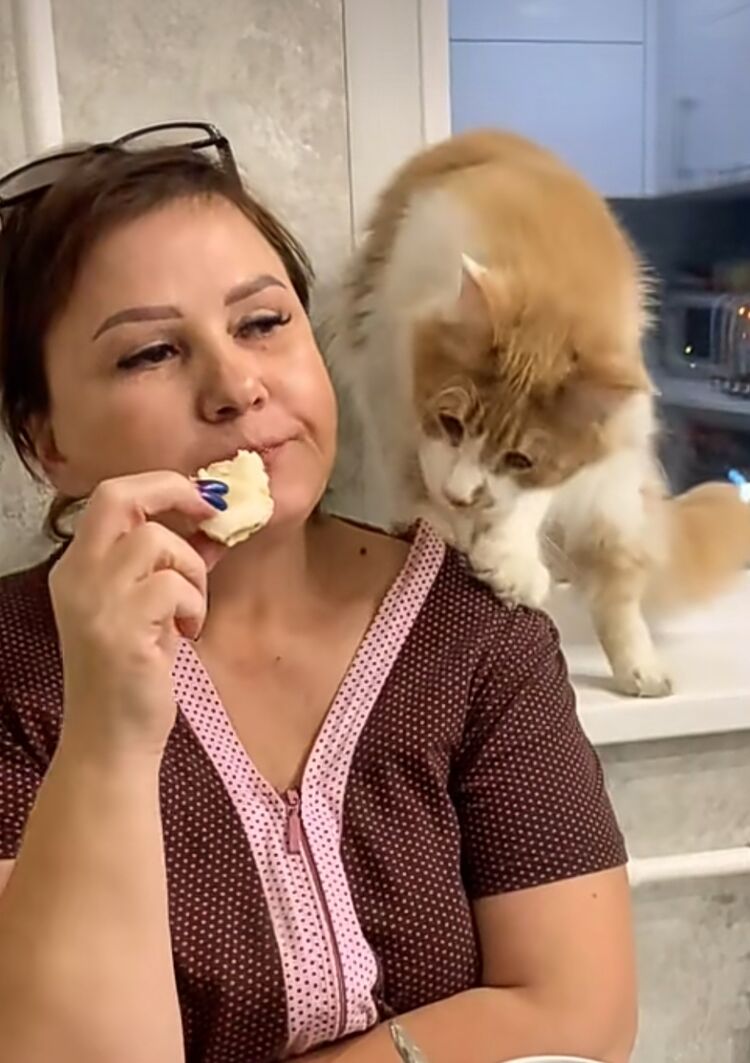 ���� 27541717 ������� �������, 48 ���, ���� ���������� � ������