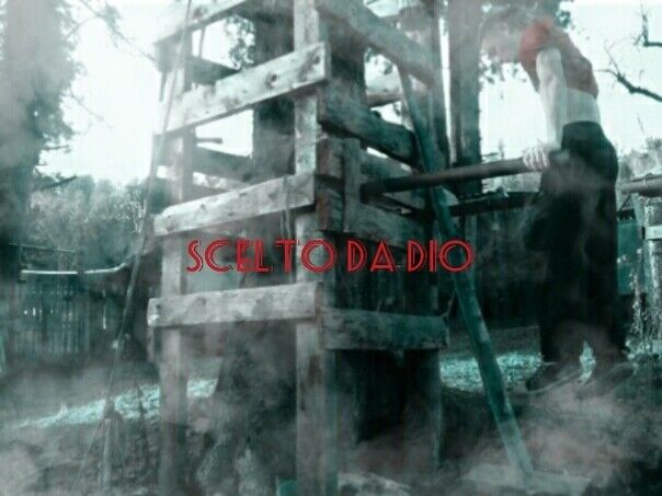 ���������� �����-�������, ���� ����� ������, 24 ����, ������������ ��� ������, ����� � ���������, c�������� ���������