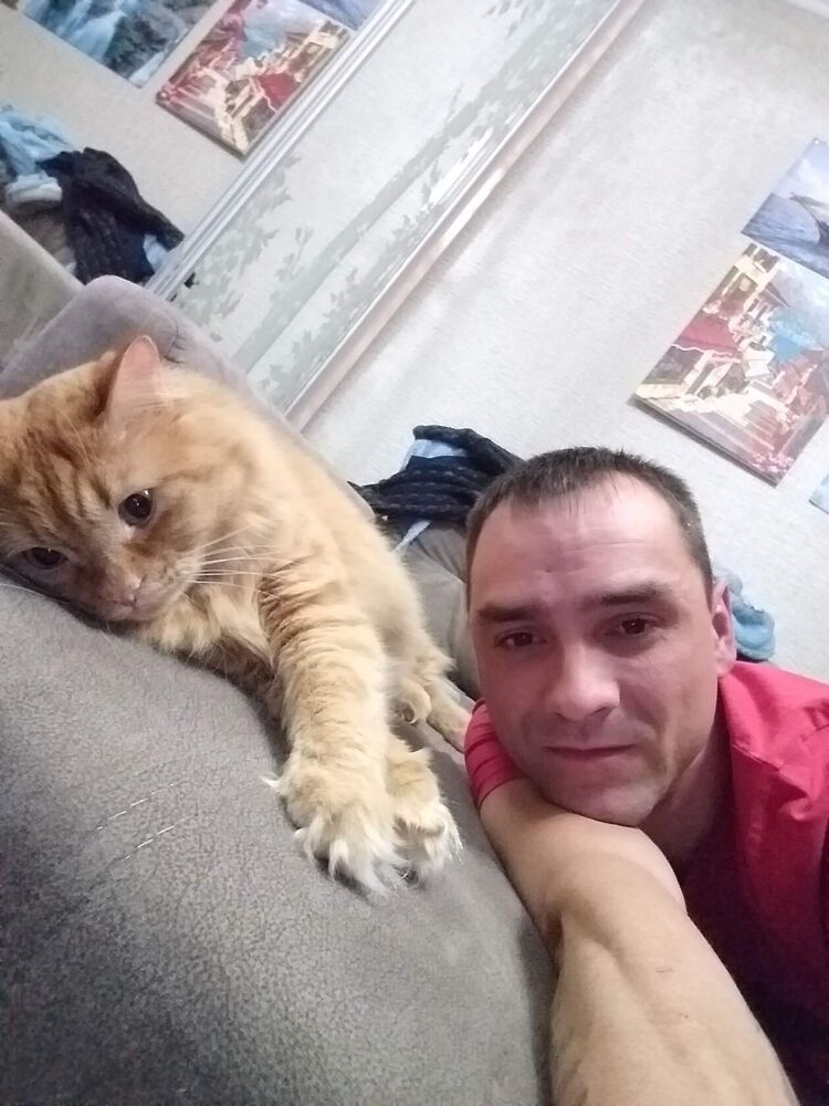 ���� 38287717 ������� �������, 42 ����, ���� ���������� � ����������