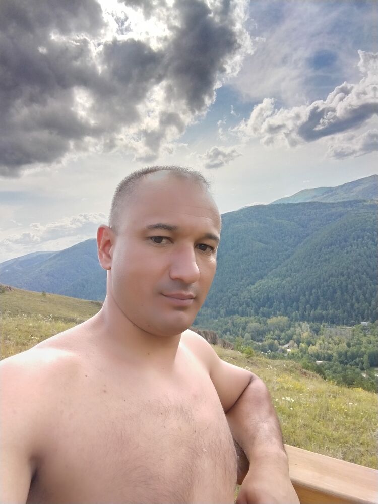  53172137  , 37 ,    