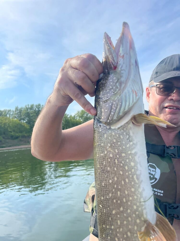 ���������� ���, ���� ������� �����, 41 ���, ������������ ��� ������, ����� � ���������